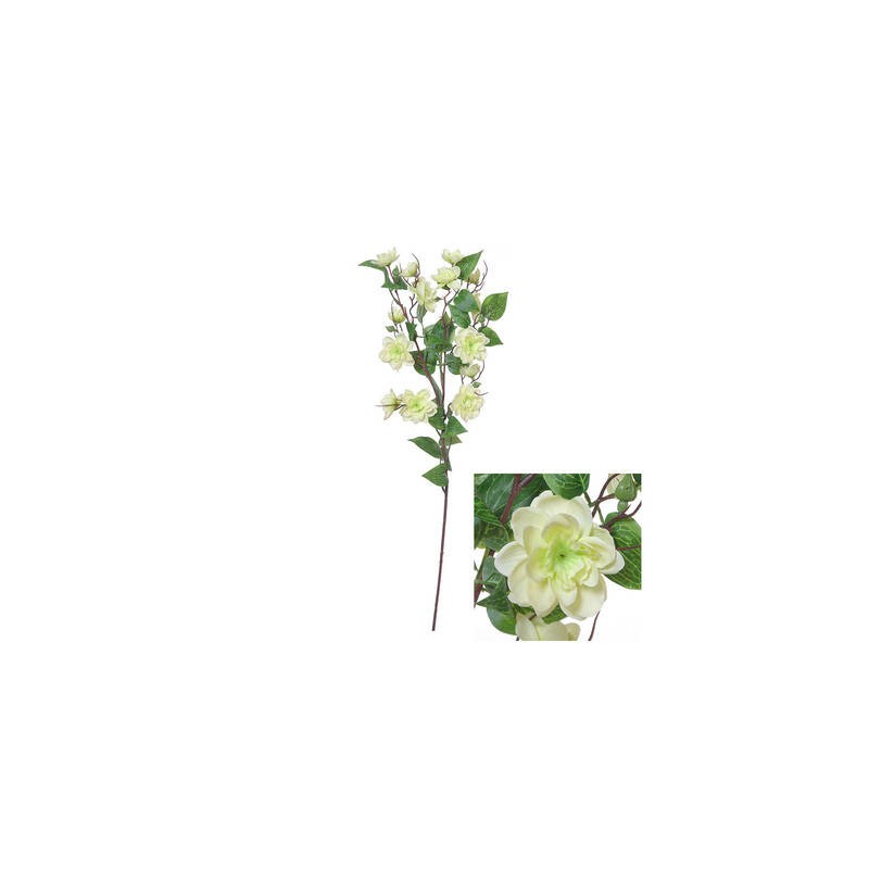 FIORE MUCUNA BIRDWOODIANA C/STELO 72cm BIANCO