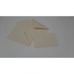 SCATOLA TAG 5,5x3,5x10cm BOTANIC 10pz