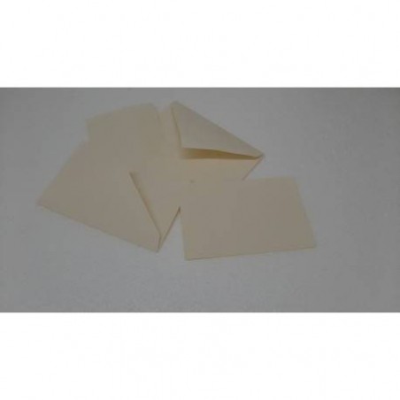 SCATOLA TAG 5,5x3,5x10cm BOTANIC 10pz