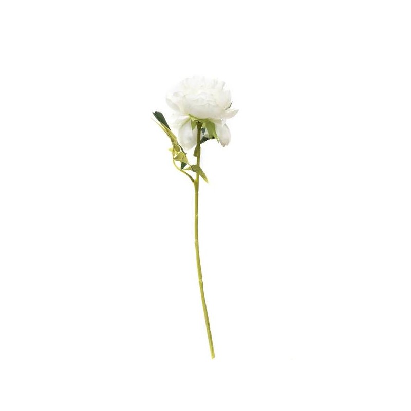 FIORE PEONIA C/STELO 50cm BIANCO