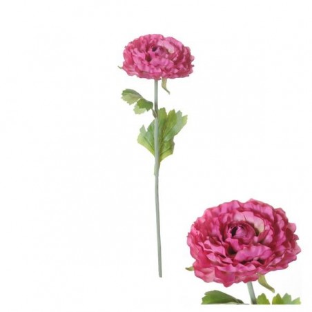 FIORE RANUNCOLO C/STELO 55cm VIOLA