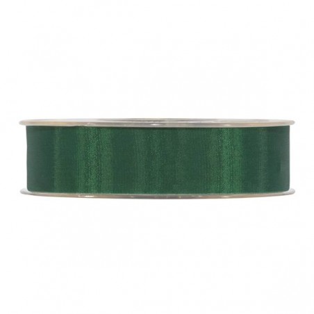 NASTRO HELOISE mm25x25mt VERDE BOTTIGLIA