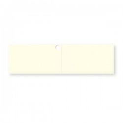 BIGLIETTINO BOMBONIERA 45x25mm AVORIO 20pz
