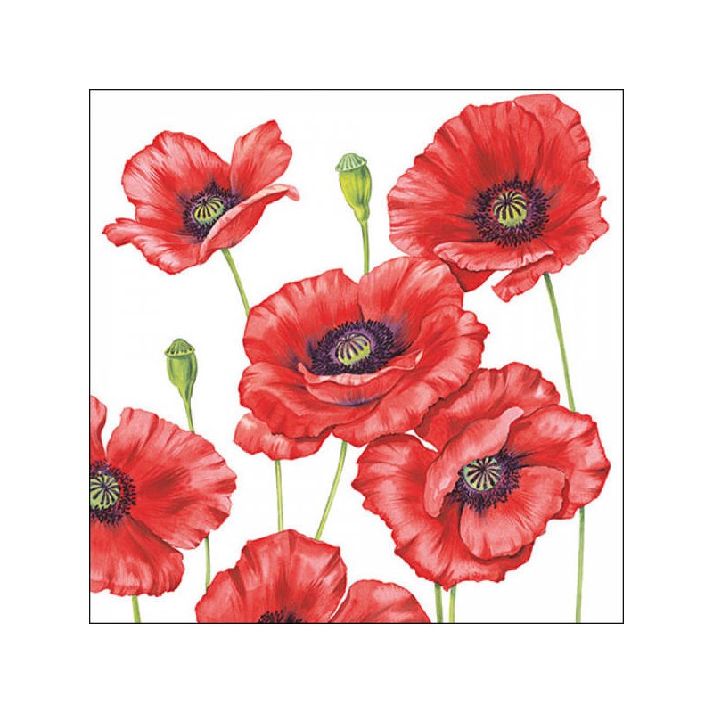 TOVAGLIOLI 33x33 PAPAVERO ROMANTICO 20pz