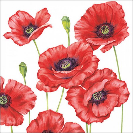 TOVAGLIOLI 33x33 PAPAVERO ROMANTICO 20pz