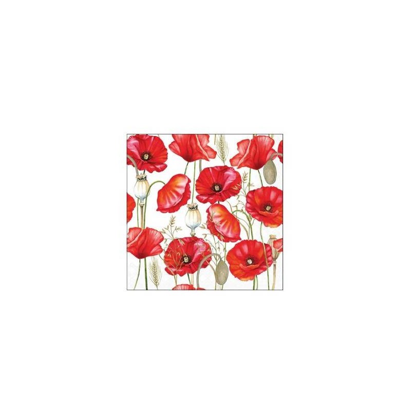 TOVAGLIOLI 25X25 PAPAVERI 20pz