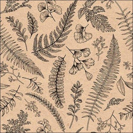 TOVAGLIOLI 33x33 LEAVES AND HERBS 20pz
