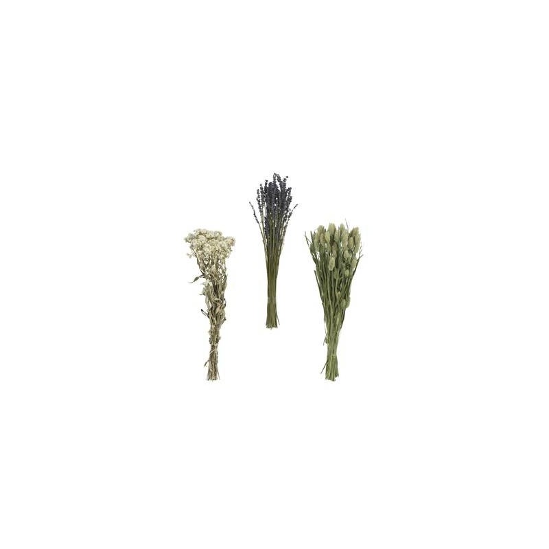MAZZO FIORE SECCO 55cm 3ASS.TI
