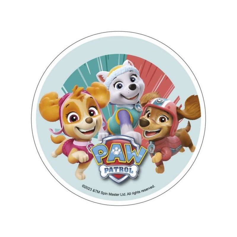 DISCO CIALDA PAW PATROL 21cm ART.40226