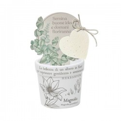 VASETTO MAGNOLIA CON CARTA PIANTABILE ø8x7cm
