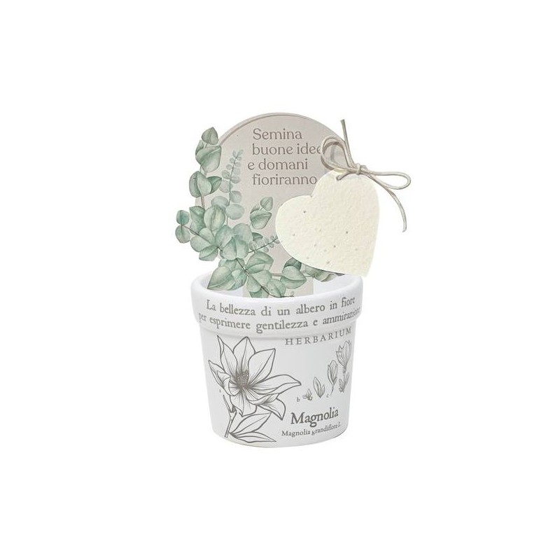 VASETTO MAGNOLIA CON CARTA PIANTABILE ø8x7cm