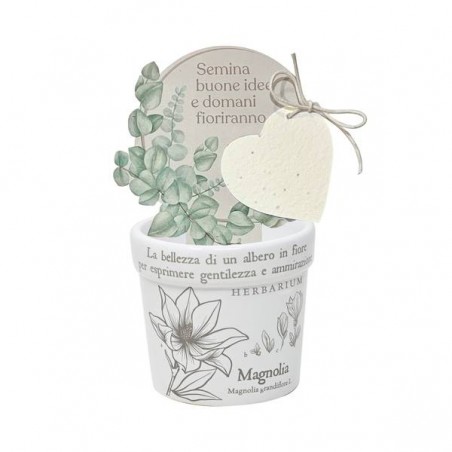 VASETTO MAGNOLIA CON CARTA PIANTABILE ø8x7cm