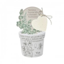 VASETTO VIOLA CON CARTA PIANTABILE ø8x7cm