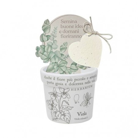 VASETTO VIOLA CON CARTA PIANTABILE ø8x7cm
