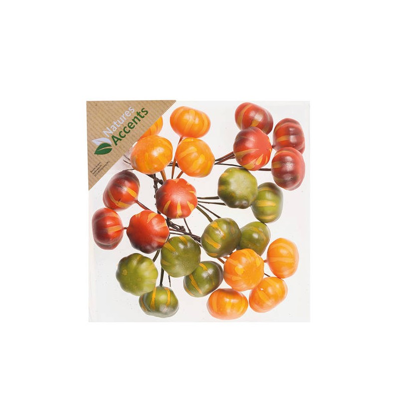 PICKS ZUCCHE 3cm IN BOX