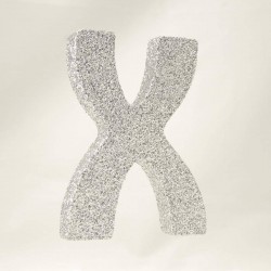 LETTERA POLISTIROLO GLITTER ARGENTO mm120x90 X