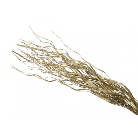 FASCIO RAMETTO ONDULATO PALMA ORO 250gr H100cm