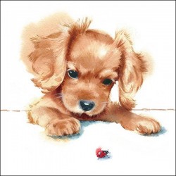 TOVAGLIOLI 33x33 CANE & COCCINELLA 20pz