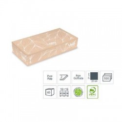FAZZOLETTI IN BOX VELINE PURE PULP V100 21x20cm 2V 100pz VELO
