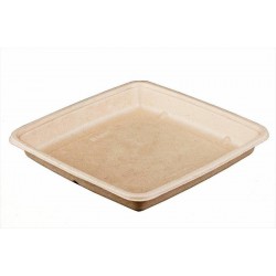 VASCHETTA POLPA QUADRATA 23x23x3cm 1000ml BIO...