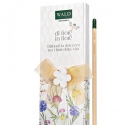 MATITA PIANTABILE C/SCATOLINA E FIORE IN GESSO