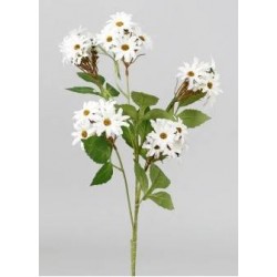 MAZZETTO MARGHERITE BIANCHE 75cm