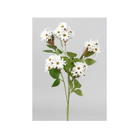 MAZZETTO MARGHERITE BIANCHE 75cm