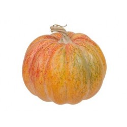 ZUCCA IN PLASTICA 11x11x10,5cm ARANCIONE