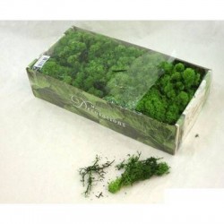 LICHENE VERDE FINLANDESE 500gr SCATOLA