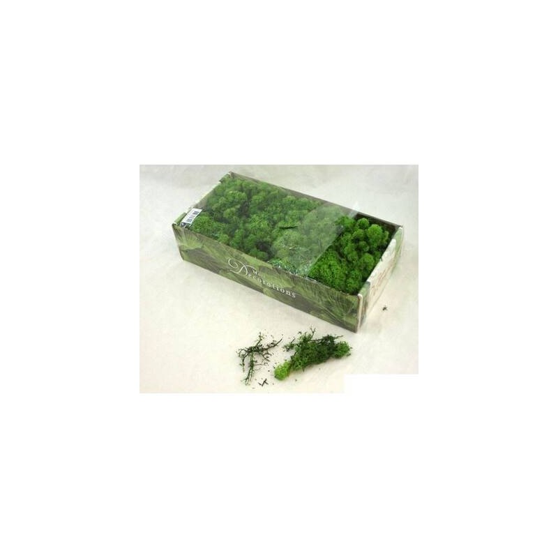 LICHENE VERDE FINLANDESE 500gr SCATOLA