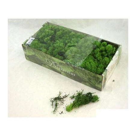 LICHENE VERDE FINLANDESE 500gr SCATOLA