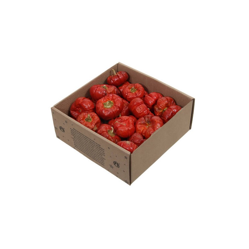 MINI ZUCCHE NATURALI ESICCATE 250gr