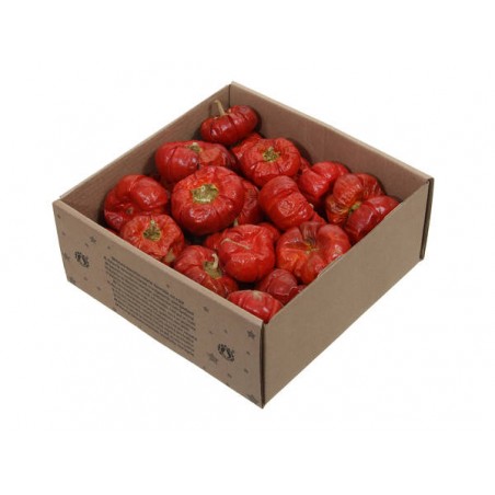 MINI ZUCCHE NATURALI ESICCATE 250gr