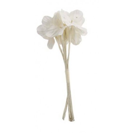 PICKS FIORE MYOSOTIS BIANCO 12pz