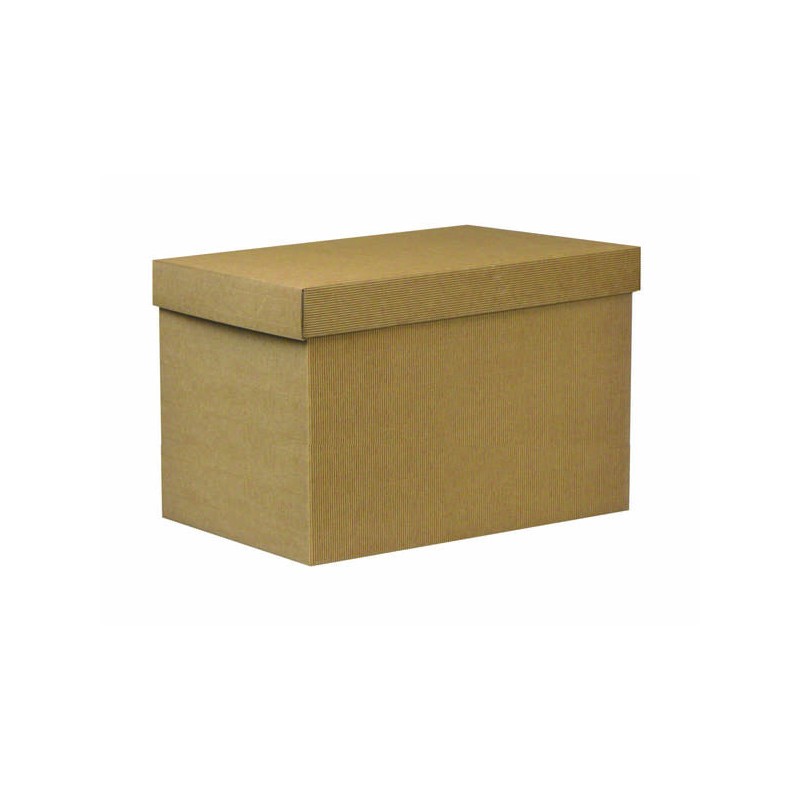 SCATOLA F/COPERCHIO LINEA 1300 49x34x33cm ONDA AVANA PORTATA 12kg