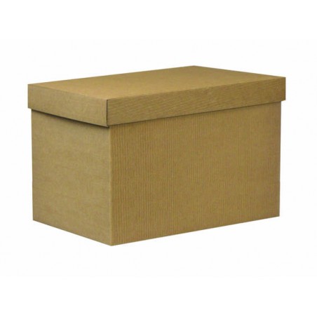 SCATOLA F/COPERCHIO LINEA 1300 49x34x33cm ONDA AVANA PORTATA 12kg