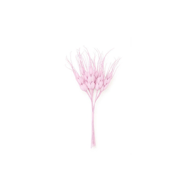 MAZZETTO 6 SPIGHE ROSA 14cm 12pz (12x6)