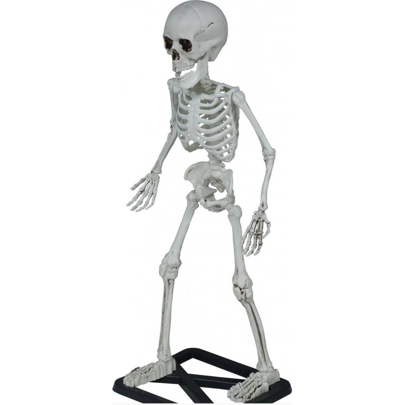 SCHELETRO IN PIEDI 55cm