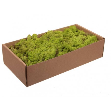 LICHENE FINLANDESE LIGHT GREEN 500gr