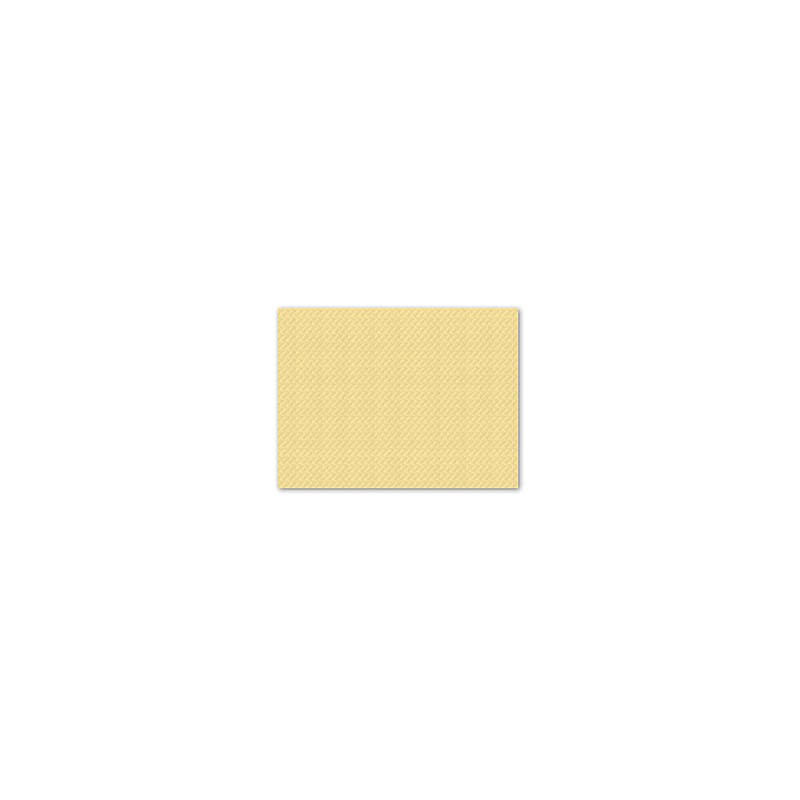 TOVAGLIETTE 30x40cm CARTA CHAMPAGNE 250PZ FATO