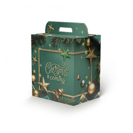 SCATOLA REGALO C/MANIGLIA LINEA 100 30,5x23x34cm STARLIGHT