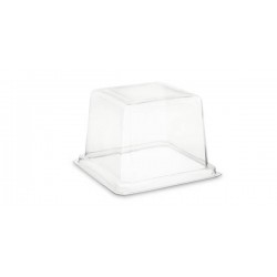COPERCHIO MEDORO 28x28x8cm PET