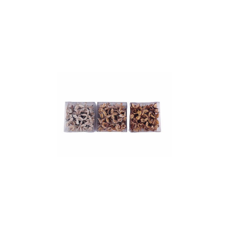 POUTPOURRI NATURAL IN BOX 3ass. 15cm 1PZ