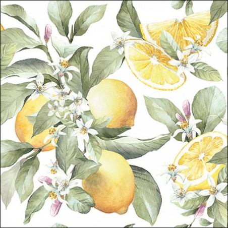 TOVAGLIOLI 33x33 LIMONI 20pz