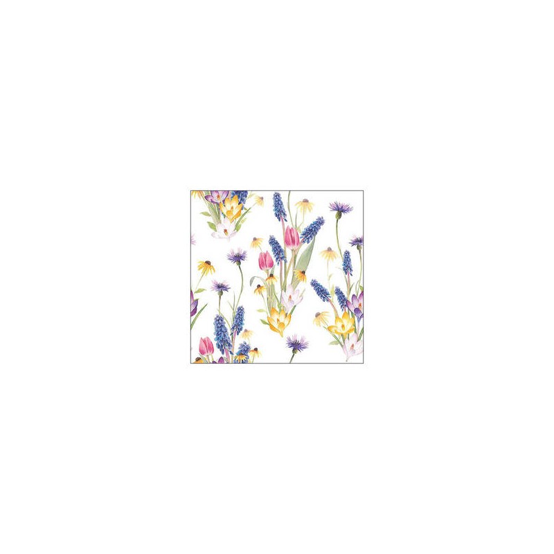 TOVAGLIOLI 33x33 HELLO SPRING 20pz
