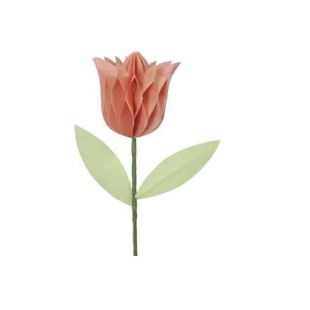 TULIPANO IN CARTA Ø7,5x8cm PESCA