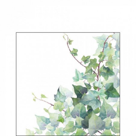 TOVAGLIOLI 25x25 HEDERA WHITE 20pz