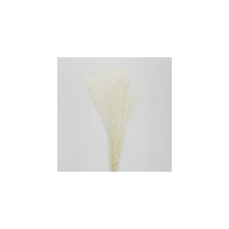 GYPSOPHILA SBIANCATA 110gr 80cm