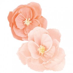 FIORI IN CARTA ø40/50cm ROSA/CIPIRA 2pz