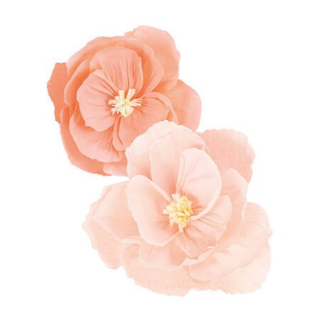 FIORI IN CARTA ø40/50cm ROSA/CIPIRA 2pz